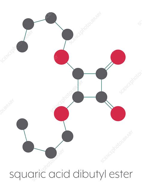 Squaric Acid Dibutyl Ester Drug Molecule Illustration Stock Image