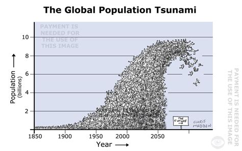 世界人口大爆炸将来临也许衰减才是正答
