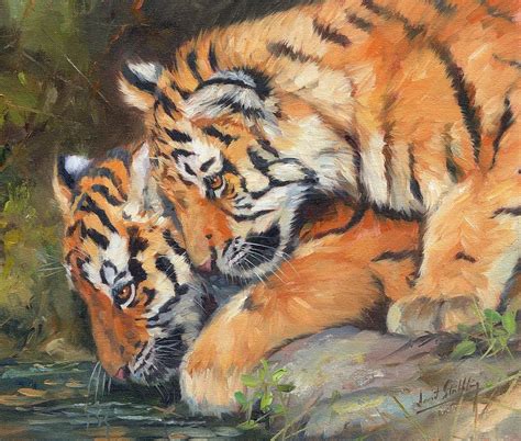 Pair Of Tiger Cubs Painting By David Stribbling Fine Art America