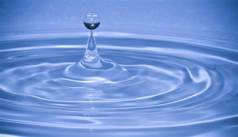 Free Images Water Droplet Drop Liquid Wave Petal Wet