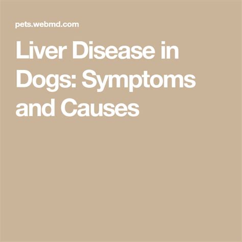 Liver Disease In Dogs Liver Disease Liver Disease Symptoms Liver