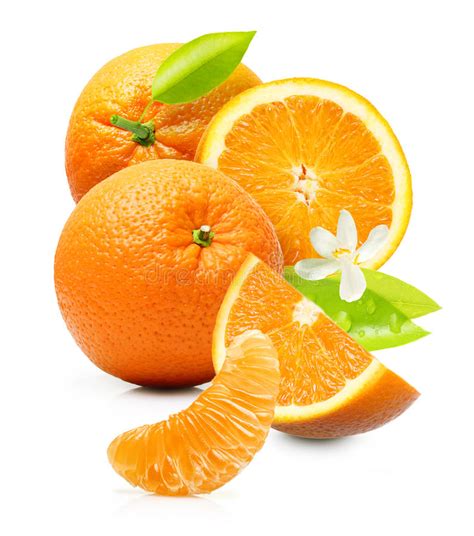 Orange Fruit Isolated Stock Image Image Of Ripe Fruit 51198387