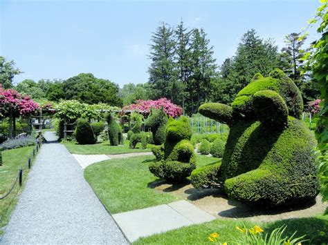 Antique Homes And Lifestyle Green Animals Topiary Garden Portsmouth Ri