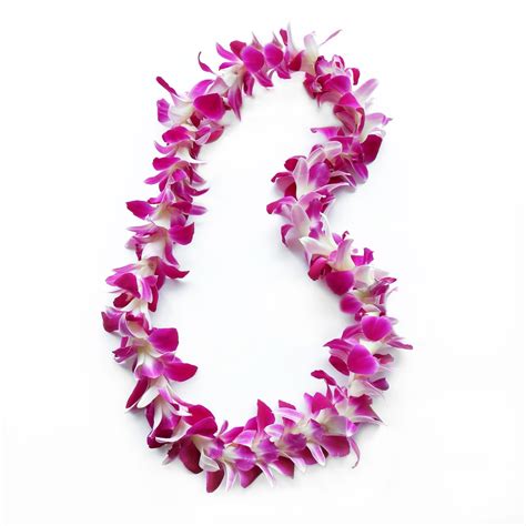 Mix And Match 3 Pack Fresh Orchid Leis Buy Hawaiian Lei