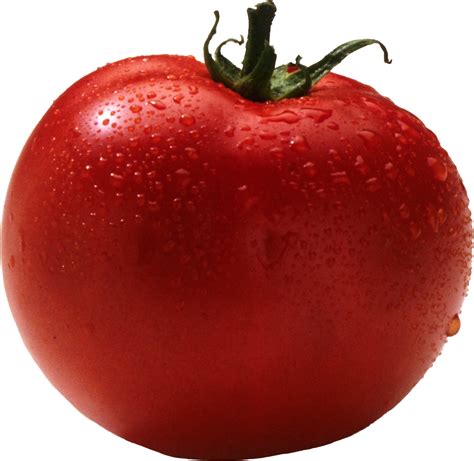 Png گوجه فرنگی تصاویر برای دانلود رایگان در دسترس هستند Crazy Png Png