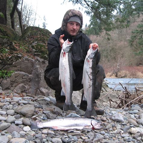 East Fork Lewis River Fishing • Sts Guide Service