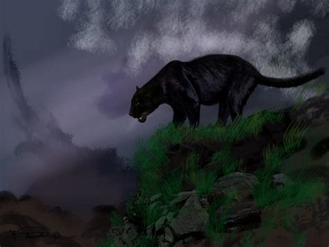 Black Panther By Randyainsworth On Deviantart