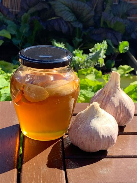 fermented garlic honey recipe the gourmantic garden