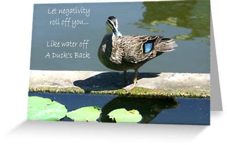There are plenty more examples out there i'm sure but sufficed to say, you can use it. Water off a duck's back by Shawtiie | Duck, Optimism quotes, Backs