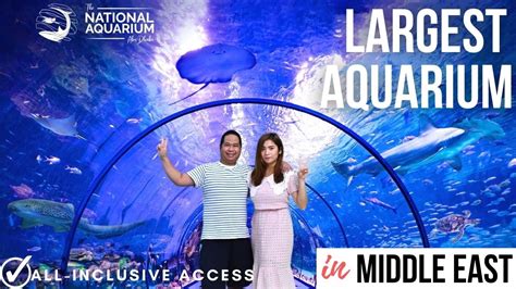 The National Aquarium Abu Dhabi Largest Aquarium In The Middle East