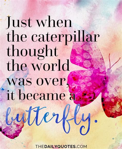Caterpillar To Butterfly Quote Shortquotescc