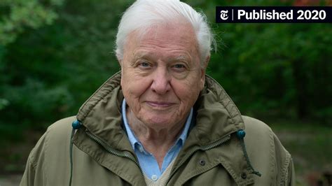 ‘david Attenborough A Life On Our Planet Review Ruin And Regrowth