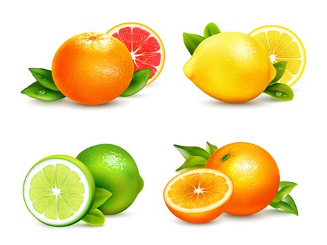 Citrus Fruits 4 Realistic Icons Set Download Free