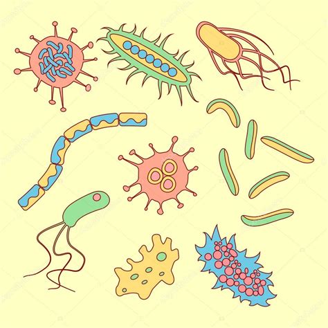 Different Bacteria Types — Stock Vector © Greenvector 132902438
