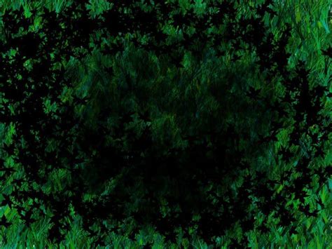 26 Dark Green Nature Hd Wallpapers Basty Wallpaper