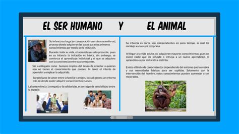 El Ser Humano Y El Animal By Susana Barrientos G