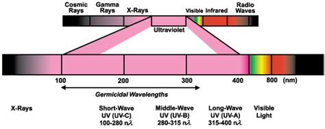 What Is Germicidal Ultraviolet