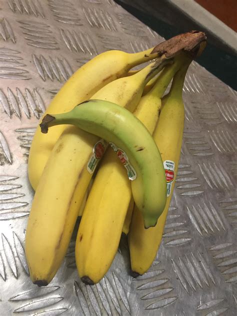 Tiny Banana With Bananas For Scale Rbananasforscale