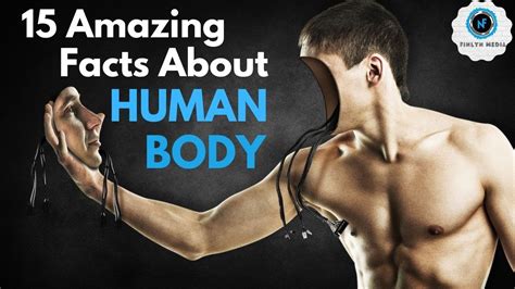 15 Amazing Facts You Didnt Know About Your Body English Finlyn