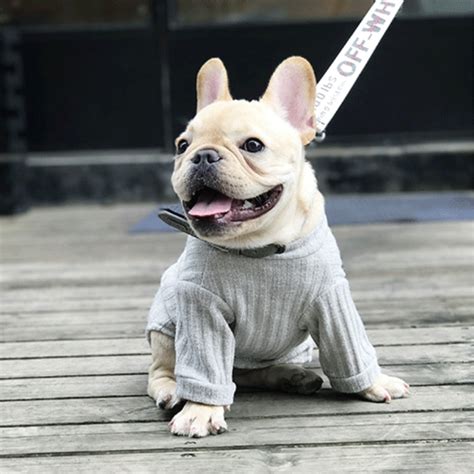 Frenchie shop is the best french bulldog clothing store that offers affordable french bulldog clothes, bulldog accessories, bulldog hoodies, bulldog shirts. Fashion Dogs Clothes French Bulldog Pugs And Small Puppies ...