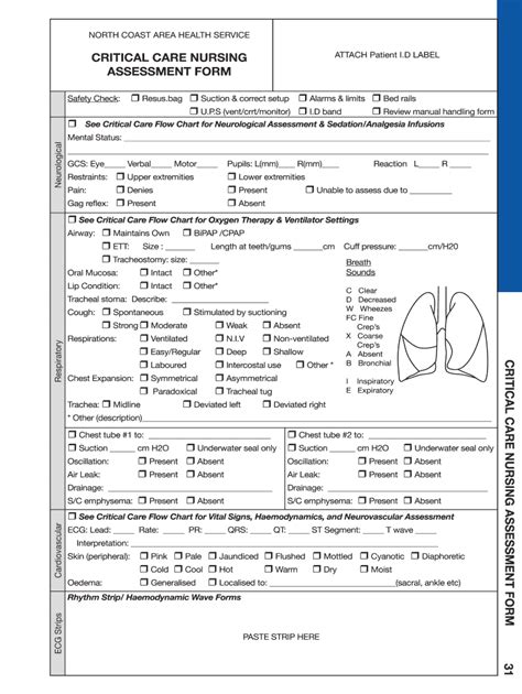 Nurse Assessment Sheet Fill Out And Sign Online Dochub