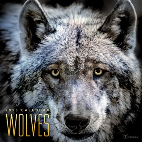2023 Wolves Wall Calendar 1 Ct Fred Meyer