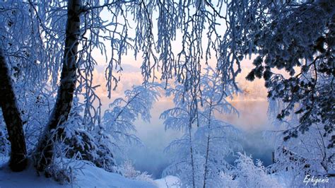 Beautiful Finland Winter Finnish Winter Landscape In 4k