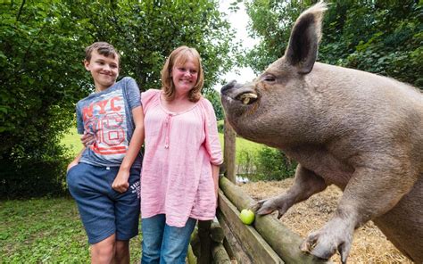 How A Pig Called Chester Brought My Autistic Son Sam Back To Me