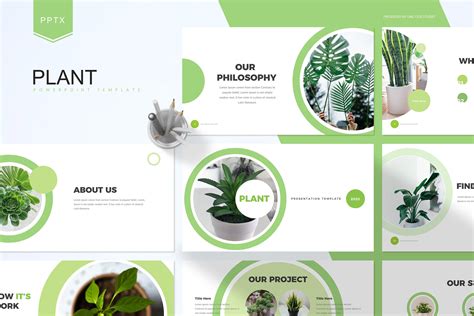 Plant Powerpoint Template Presentation Templates ~ Creative Market