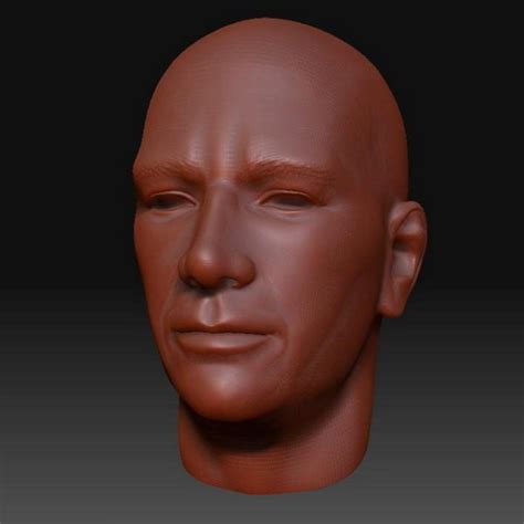 Basic Human Male Head Character Free 3d Model Ztl Open3dmodel