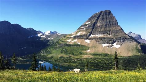 Outstanding Hidden Lake Nature Trail Glacier National