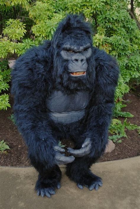 Realistic Gorilla Costume Chris Walass Build Up Gorilla Gorilla