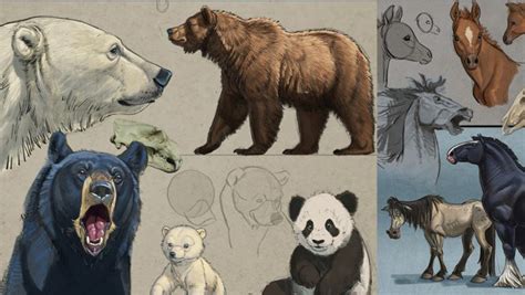 Aaron Blaise Explains The Essentials Of Animal Drawing Exclusive Video