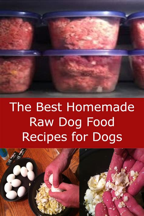 The Best Homemade Raw Dog Food Recipes For Dogs Raw Dog Food Recipes