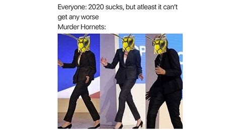 Murder Hornets Memes 💀 🐝 Stayhipp