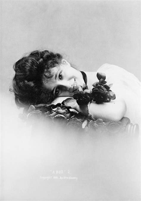 Evelyn Nesbit By Otto Sarony 1901 A Bud No 2 Evelyn… Flickr