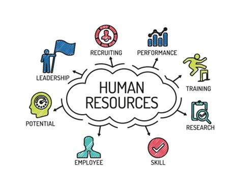 Saravanan, minister of human resources, the event presented the orang asli ground coordinator initiative, a joint collaboration of jtm and jtk to empower the tvet programmes among. 7 Human Resource Management Basics Every HR Professional ...