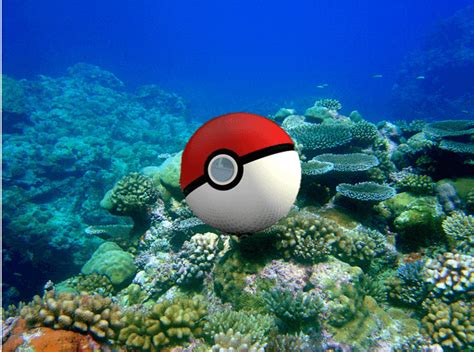Real Life Pokemon Sea Creatures Edition The Bubble