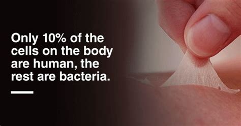 12 Weird And Disgusting Facts About Humans That Will Totally Change The