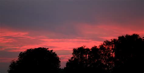 Free Images Tree Horizon Cloud Sunrise Sunset Dawn Atmosphere