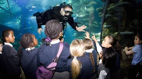Sea Life London Aquarium Tickets Facts Deals And General Info