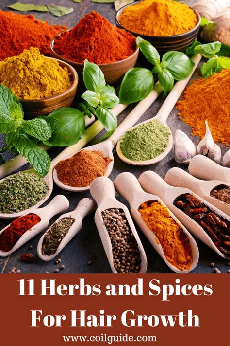 11 Of The Best Herbs For Hair Growth — Coil Guide Homemade Spices