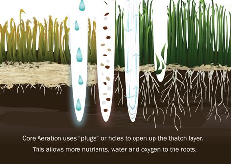 Core aeration accomplishes the job of aerating the soil and exposing deep channels for water, fertilizers, and oxygen to access the root zone immediately. Core Aeration - Montgomery Lawn Care