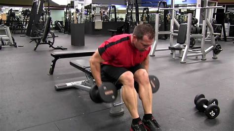 Seated Bent Over Dumbbell Row Youtube