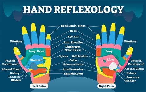 Hand Reflexology Map Your Handy Guide To Quick Pain Relief