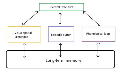 Types Of Memory In Psychology Explained Psychmechanics 2023