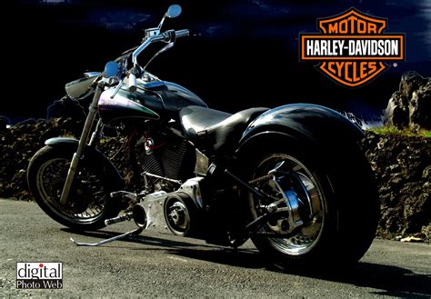 Harley Davidson Motorcycle Harley Davidson Motorcycle