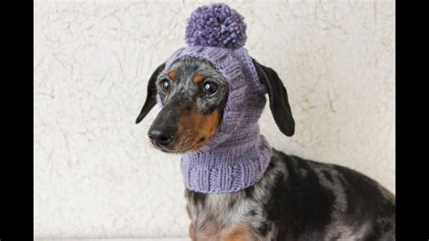 Knitting Tips For The Open Ear Dog Hat Youtube