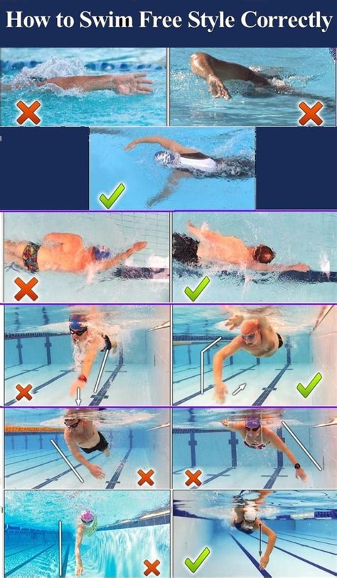 How To Swim Free Style Correctly Swimming Workout Swim Technique