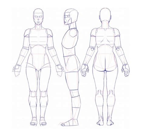 Practice Drawing These Anatomy References By Renecordova 10 Times Per